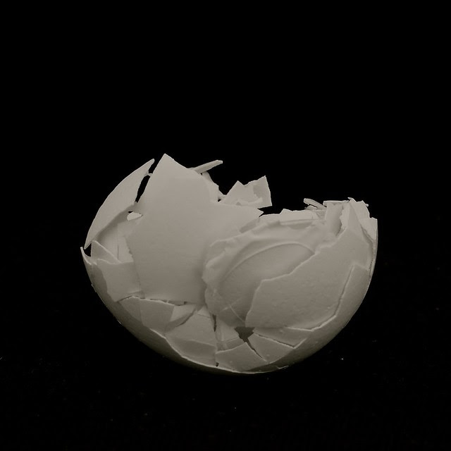 Egg shell study #9