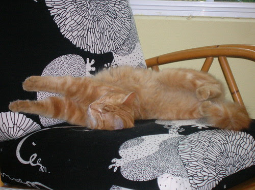 practicing acrobatics