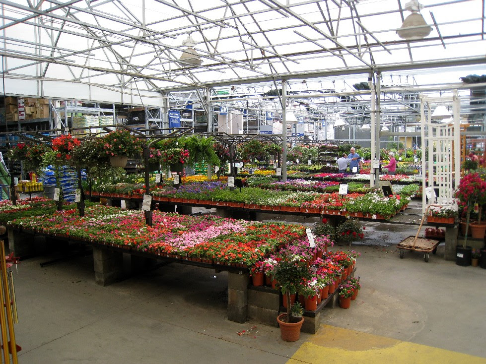 アメリカのホームセンター園芸売り場 楽勝 パパのお手軽ガーデニング