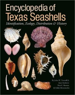 Encyclopedia Of Texas Seashells Identification Ecology Distribution And
History Harte Research Institute