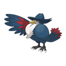 Black bird