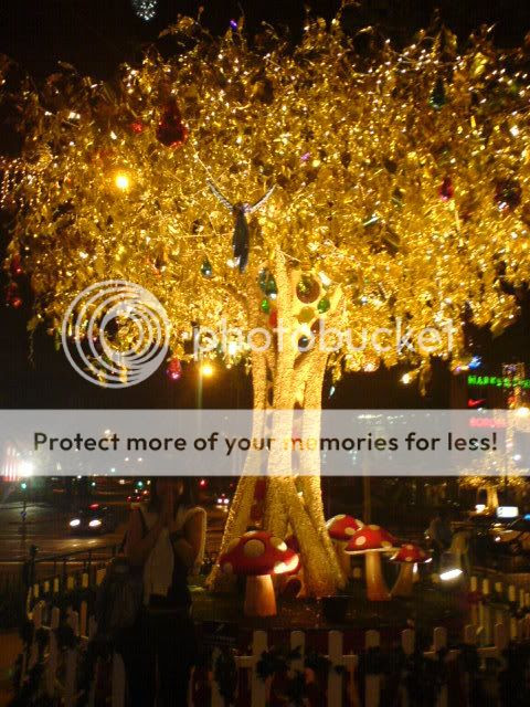 Photobucket - Video and Image Hosting