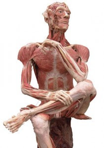 body1-211x300