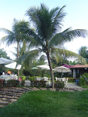 DSC04527
