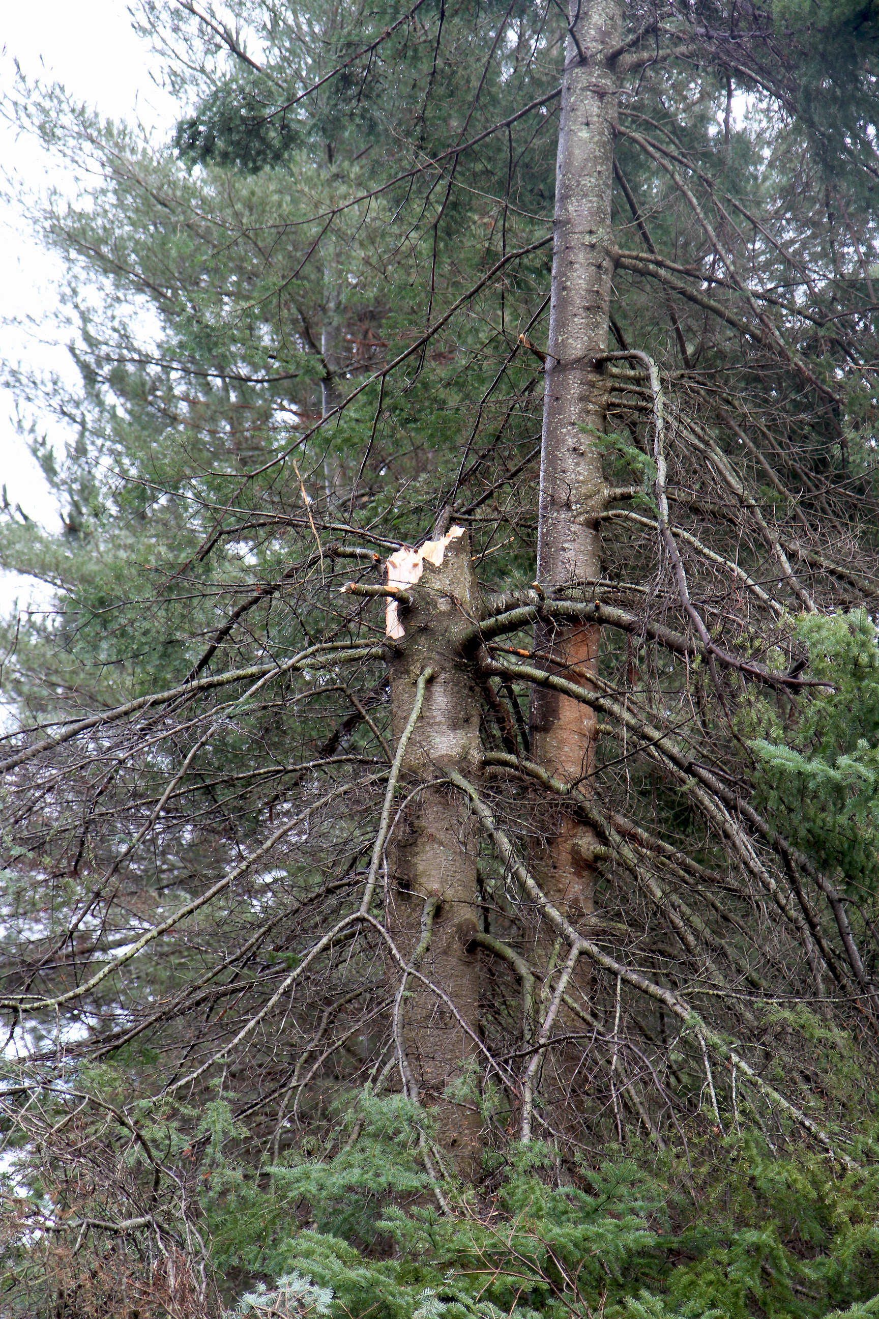 microburst breaking point