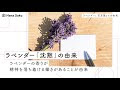 [最新] ラベンダー 花言葉 幸せ 696282-ラベンダー 花言葉 幸せ