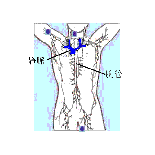 免疫について考えてみよう ５