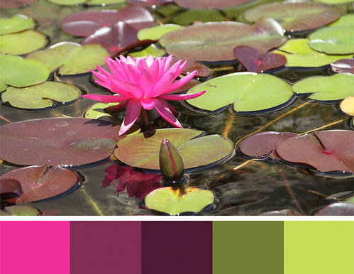 photo inspiration