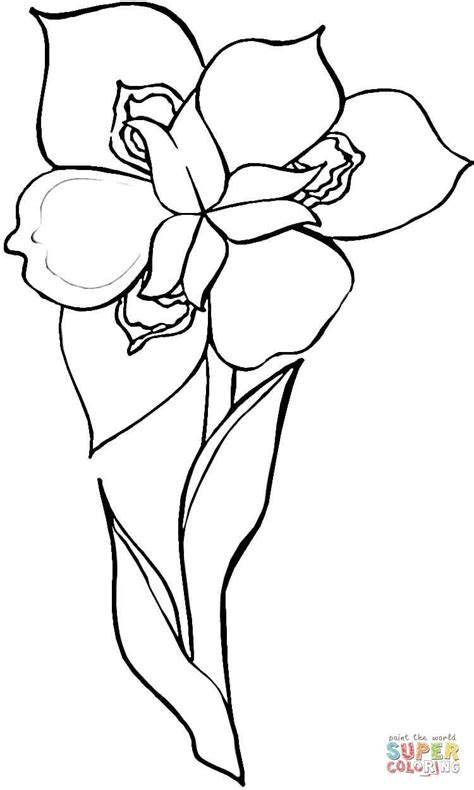 You might also be interested in coloring pages from iris category. pin on flower coloring page