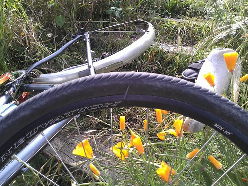 If you're going to flat, do it up proper.