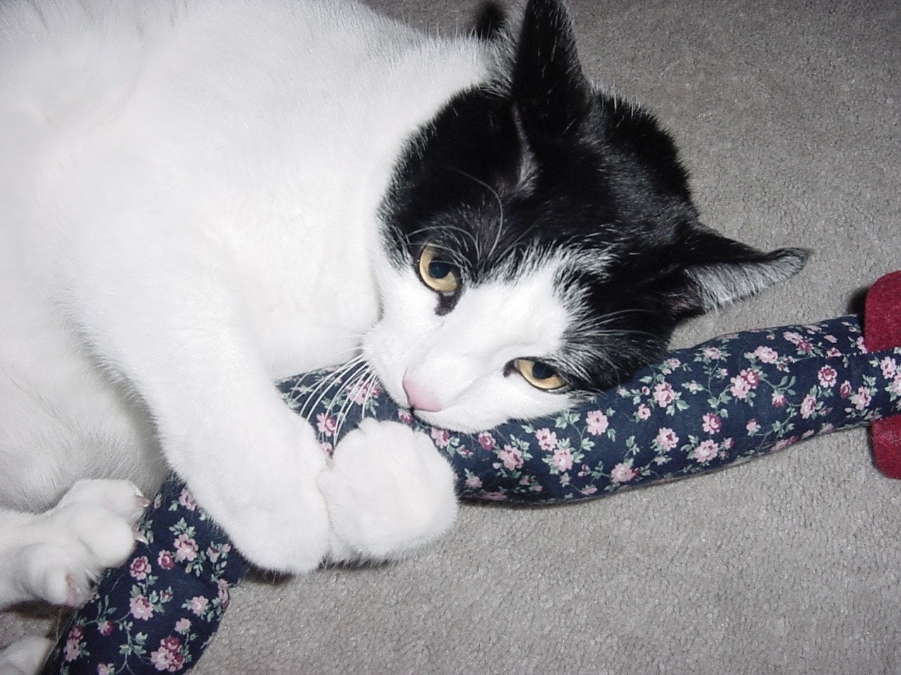 Cat Toy/Snakey Catnip Mouse