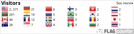 Flag Counter