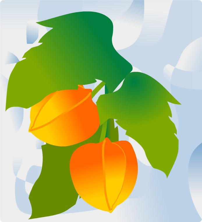 夏 夏景色 夏の花 イラスト 無料