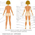 Photos Female Human Body Parts - Human body internal organs, skeleton, skeletal bones,.
