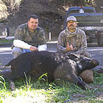 Guided boar hunts california