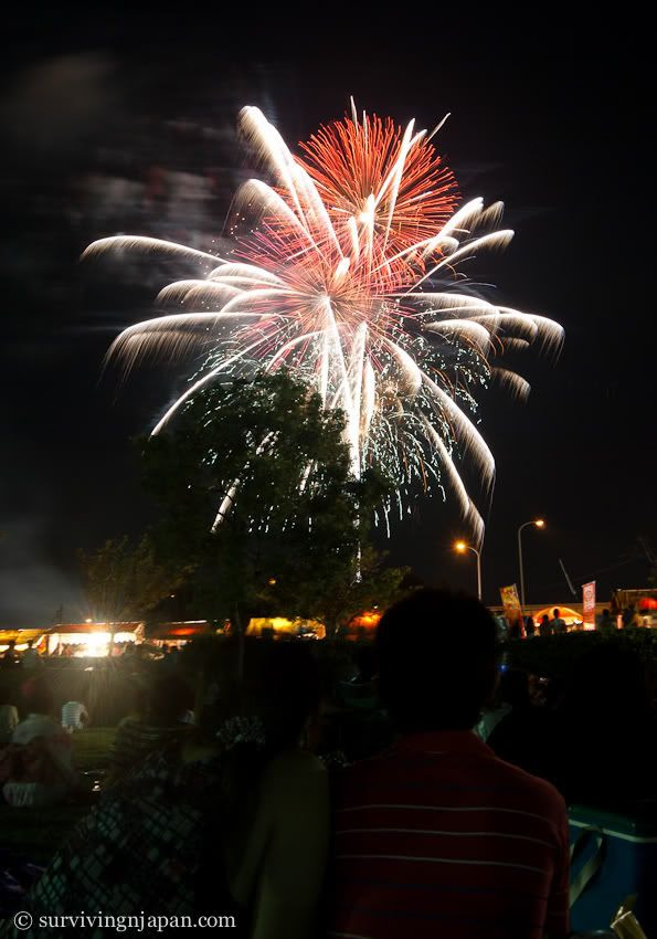 Japan, Shizuoka, Fukuroi, fireworks, festival, hanabi, summer, 袋井, 花火
