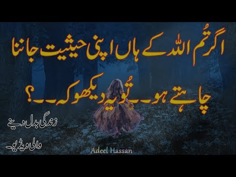 Amazing Urdu Quotesbest Life Changing Urdu Quotes Youtube Search