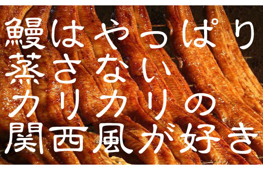 愛知県瀬戸市の名店 うなぎの田代 の鰻丼をほおばる 関西風うなぎレポート