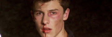 Shawn Mendes Stitches Free Download Videos