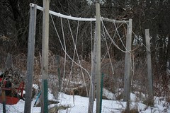 tomato supports in the snow 0237