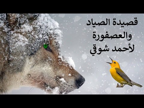 صورة