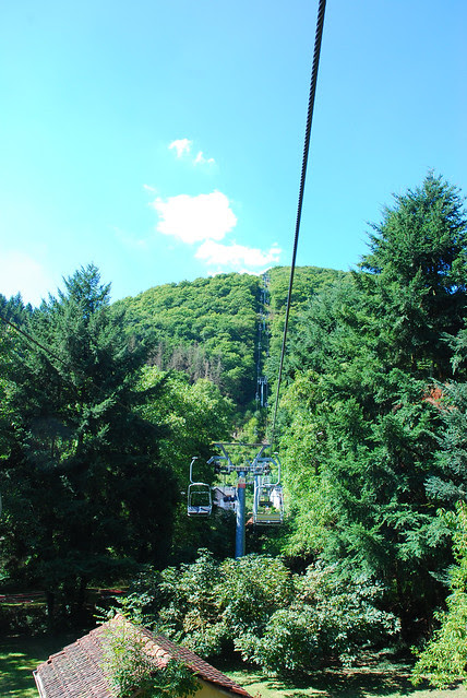 Winton Massif - Black Forest 2013