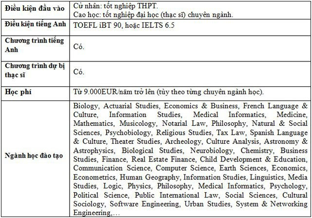 Tại sao nên chọn du học Hà Lan? - Ảnh 5.