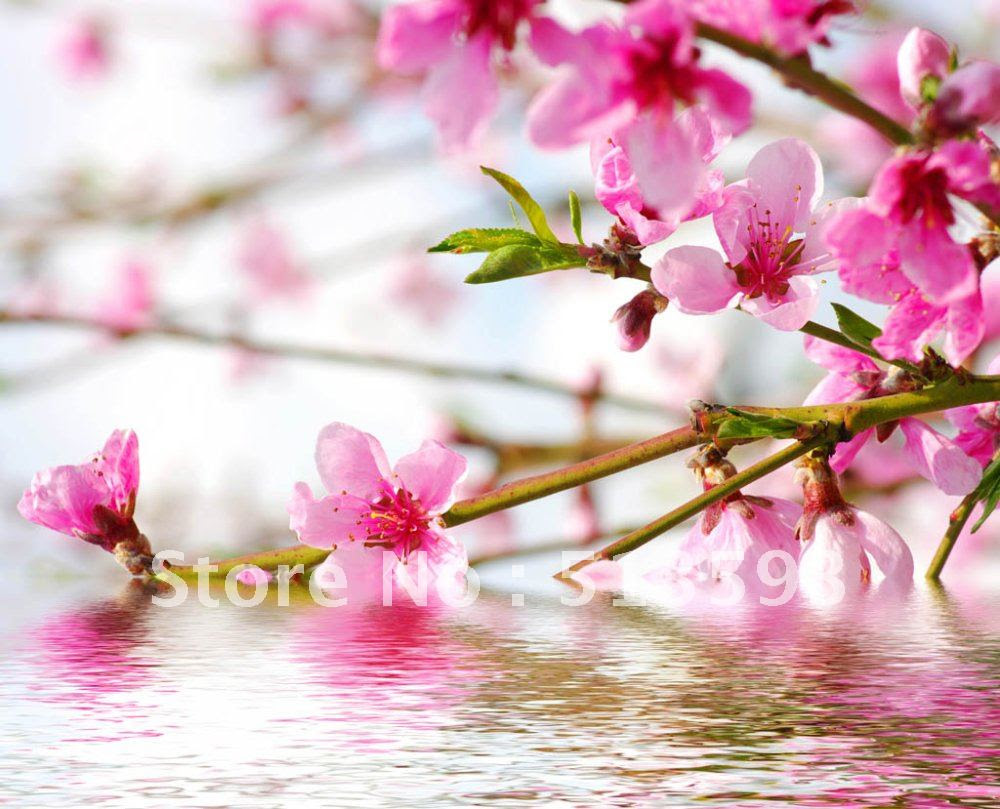 wallpaper for home decoration Picture - More Detailed Picture ...