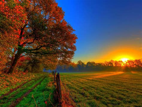 Tom's guide is supported by its audience. Nature Autumn Road Forest Colorful Path Leaves Trees Fall