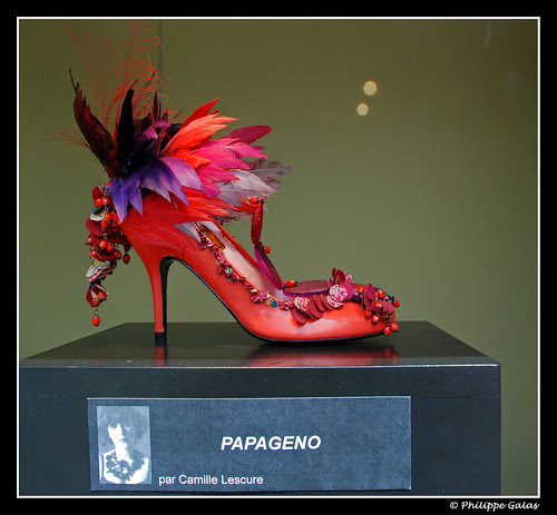 DSC_0755_bis
