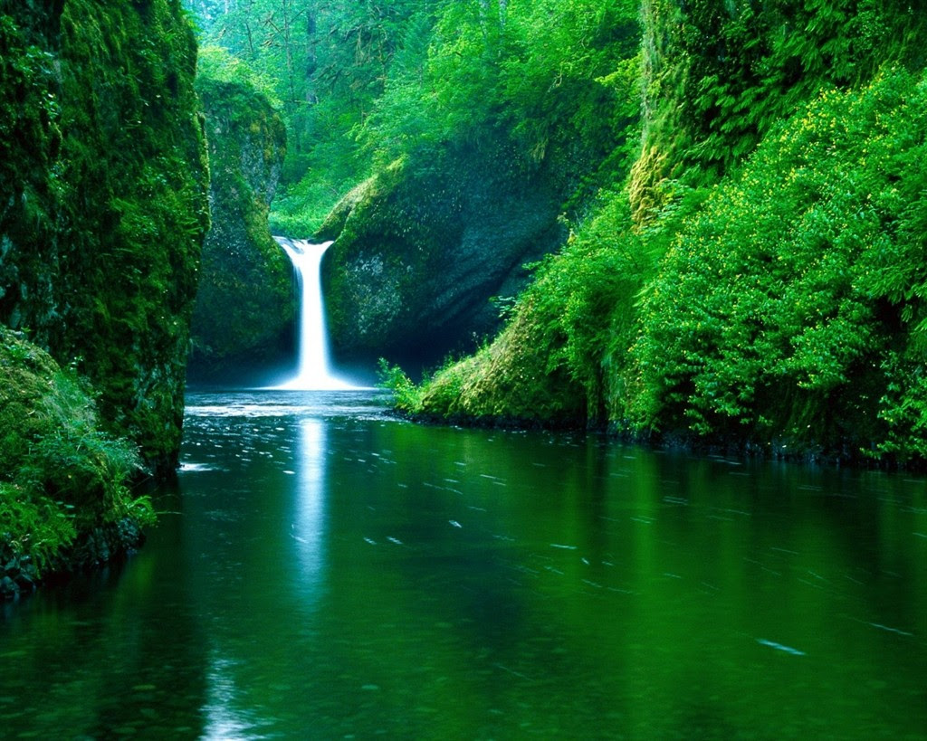 Foto Wallpaper  Bergerak  WallpaperSafari