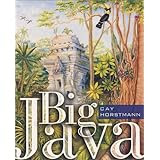Big Java: Programming and Practice