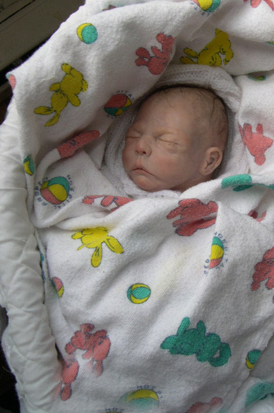 images of babies born at 35 weeks. orn at 35 weeks gestation