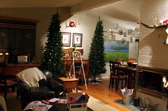 Christmas before the storm