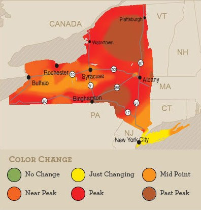 FoliageMap 20091016