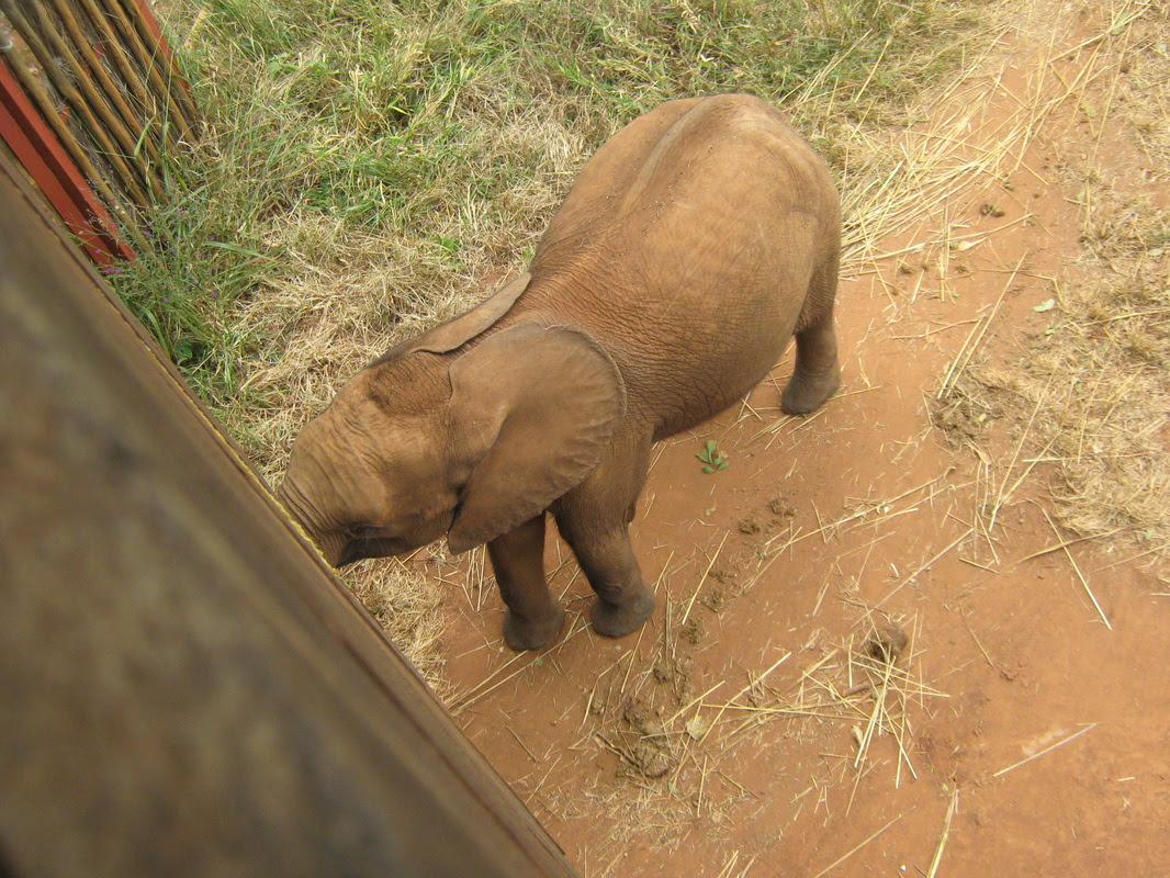 My VSO experience in Zambia - Blog