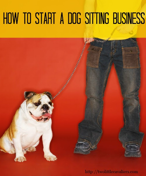 how to start a dog sitting business starting a dog