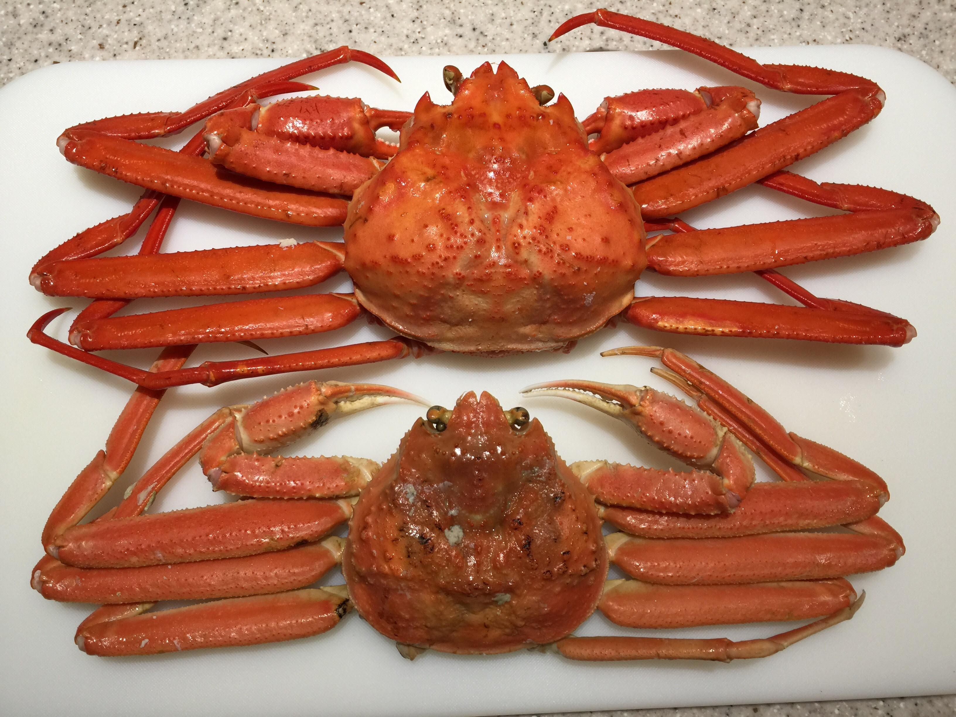 松江市にふるさと納税 松葉ガニと紅ズワイガニのセットをいただきました 投資と複業でハーフリタイア生活