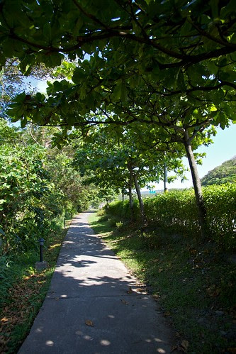 騎遇東北角-單車、樂活、綠色旅行
