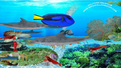 Dolphins Aquarium [Download]