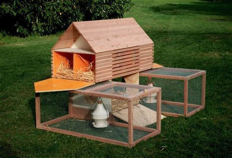 favorites backyard chicken coops  small flocks