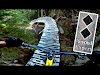 GoPro View of ‘Beyond Expert’ Bike Trail Is a Real Ride