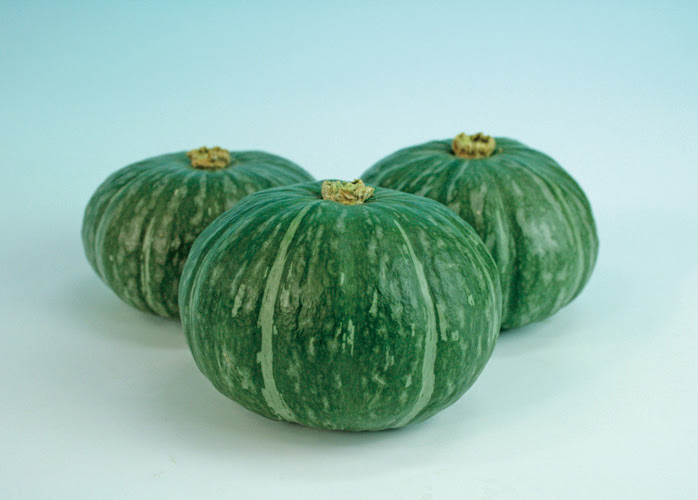 カボチャ 小吉 緑 収穫直後から甘味がある緑皮ミニカボチャ トキタ種苗の野菜品種カタログ 栽培ガイド