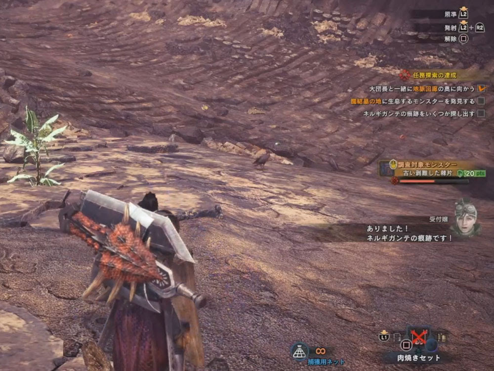 地脈回廊の奥 龍結晶の地 ユニオン鉱石 Mhw