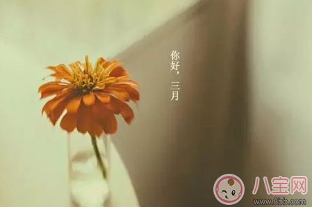 18二月再见三月你好图片2月再见3月你好心情说说图片 八宝网