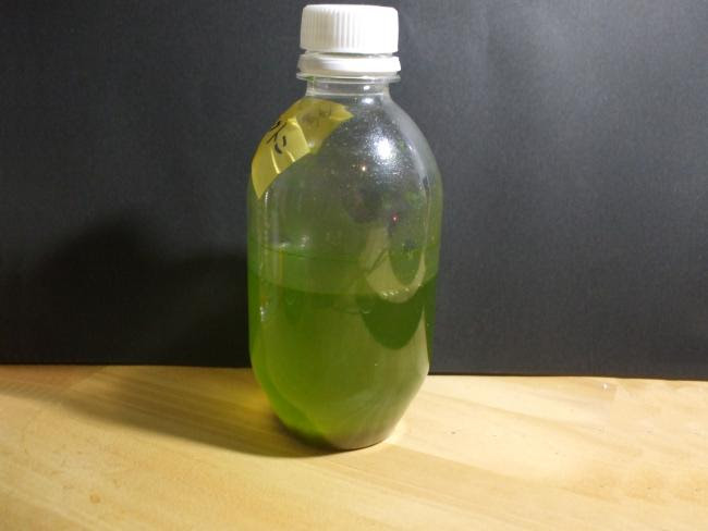 生まれたばかりのメダカの餌として おもしろ理科 Preparation Assistant For Scientific Experiments And Observations