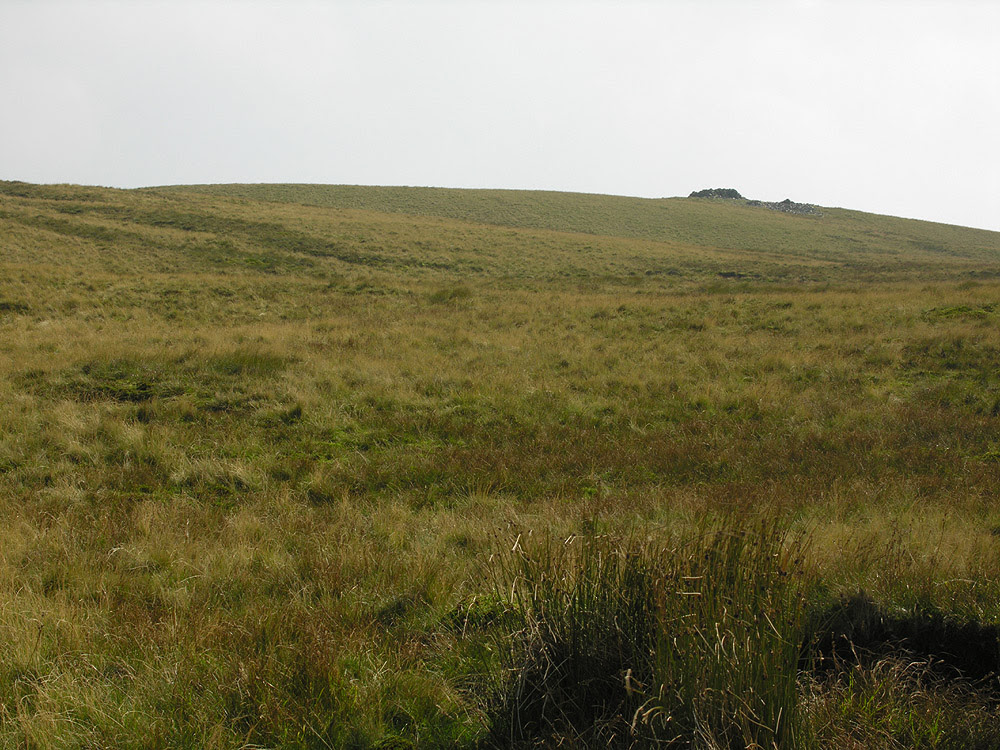 File:Trawsallt approach from the north - geograph.org.uk - 479787.jpg