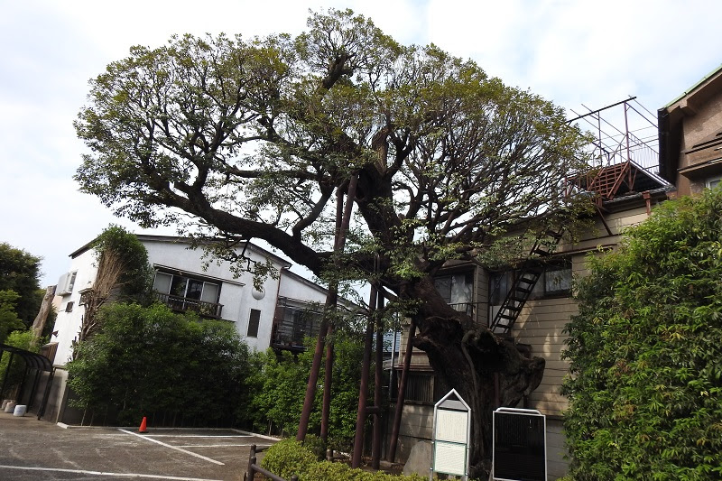 延命院事件 素隠居日記