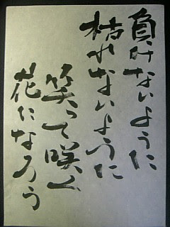 ミスチルの桜井さんの歌詞大好き 兵庫県新温泉町 熊野山那智院 善住寺 ぜんじゅうじ