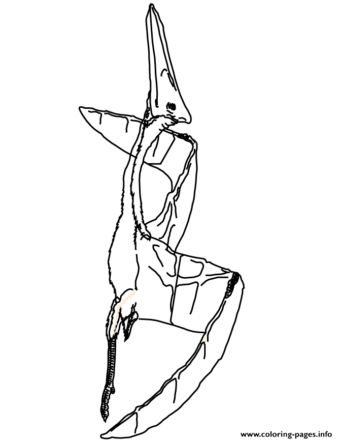 Download Pterodactyl Dinosaur Coloring Pages Printable
